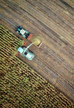 The Vale of Glamorgan Agricultural Show 2022